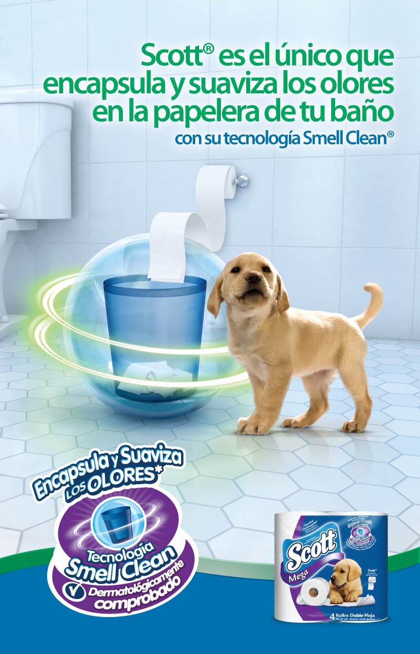 Publicidad Kimberly Clark